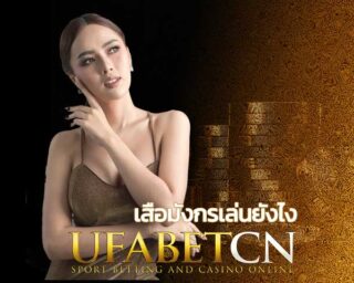 เสือมังกรเล่นยังไง? เสือมังกรออนไลน์ pantip วิธีเล่นให้ได้เงิน สมัคร Kubet เสือมังกรออนไลน์ ขั้นต่ำ 10 บาท เสือมังกร Casino เล่นผ่านมือถือ