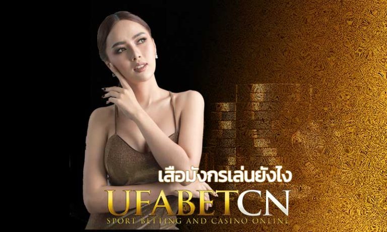 เสือมังกรเล่นยังไง เสือ มังกร วิธีเล่น ขั้นต่ำ 10 บาท Kubet เสือมังกรออนไลน์ มือถือ เทคนิคเล่นให้ได้เงิน